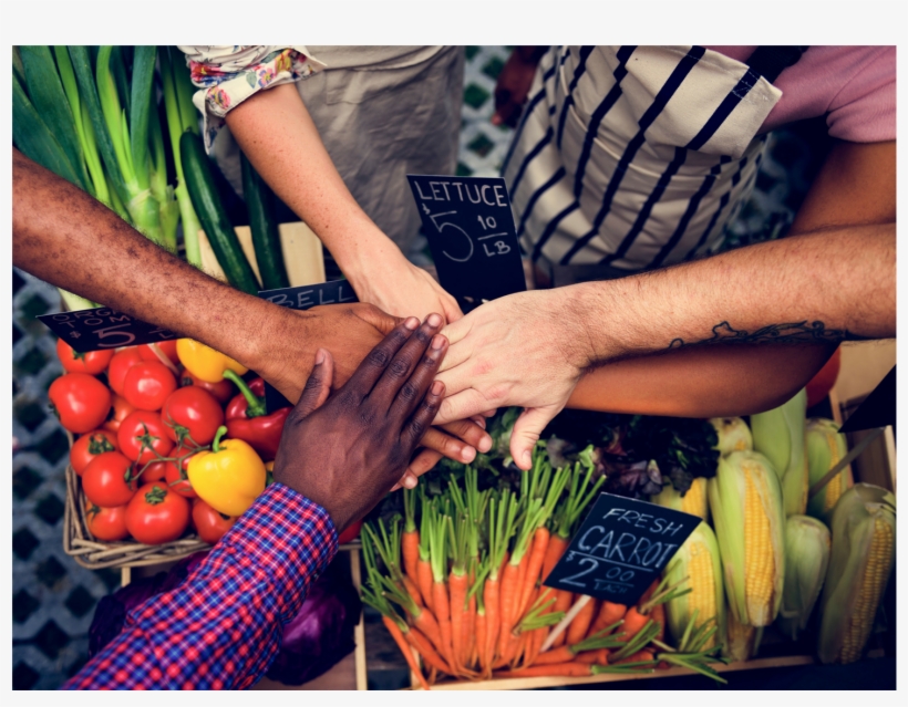 Living Vegan In The Midwest - Community, transparent png