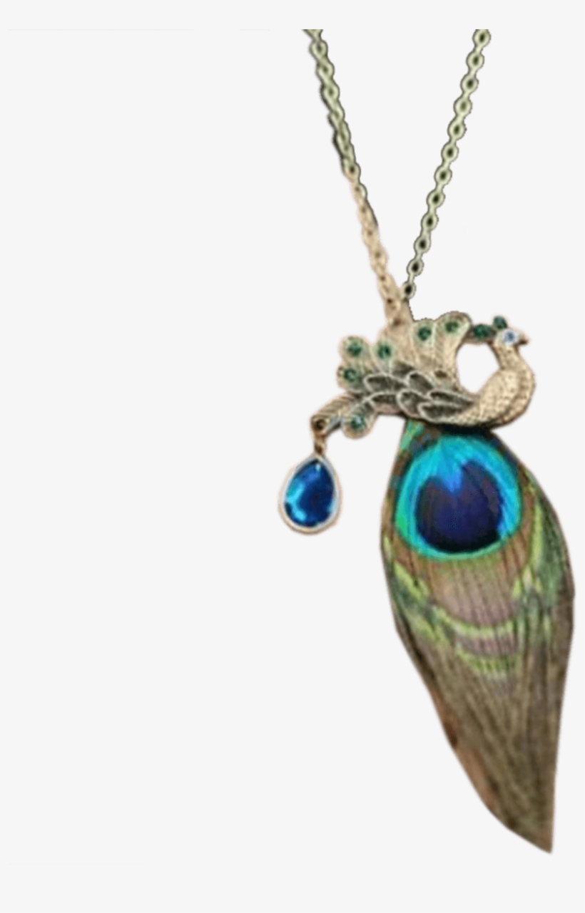 Vintage Peacock Feather Necklace - Retro Peacock Feather Pendant Brass Tone Necklace Drop, transparent png