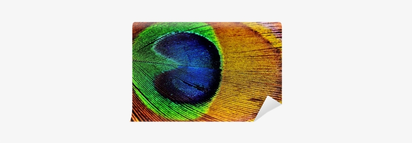 Leaf, transparent png