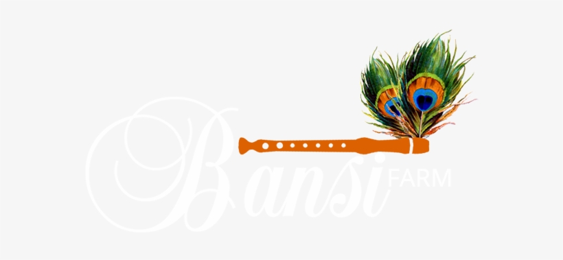 Clip Art Transparent Download Collection Of Free Floyte - Vintage Peacock Feather Canvas Tote - Selection Of, transparent png