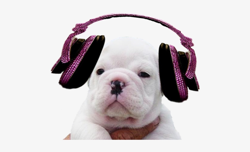Thursday, 19 May - My Music Icon, transparent png