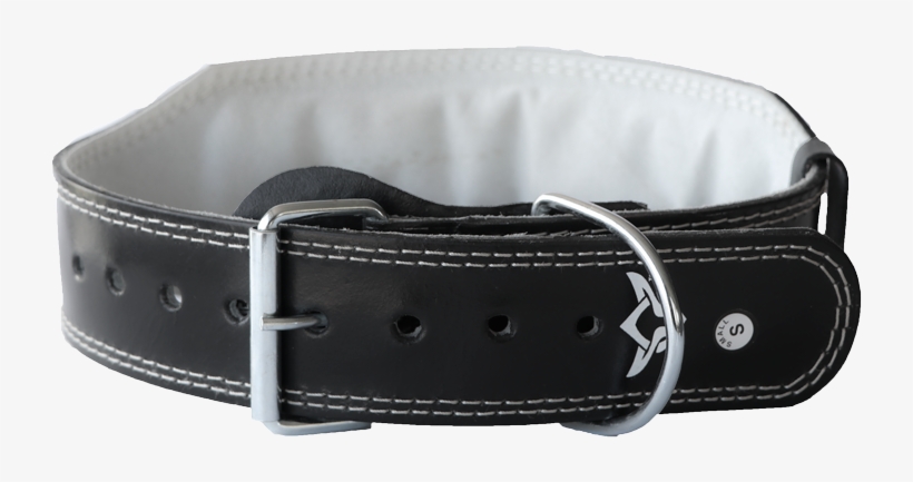 Strap, transparent png