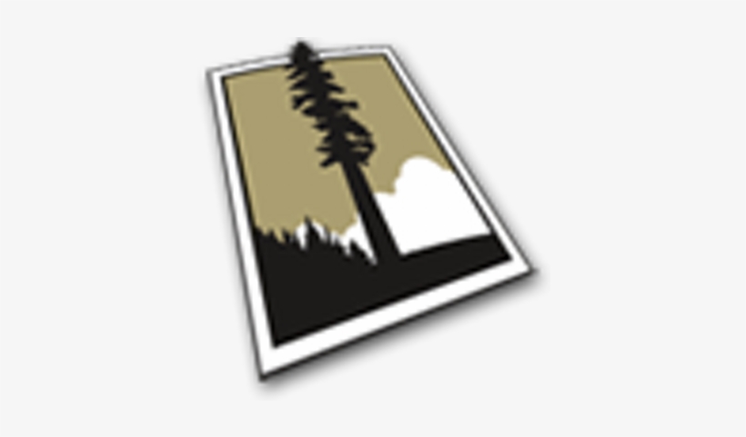 Redwood Capital Bank - Graphic Design, transparent png