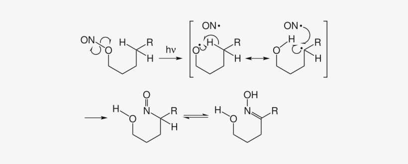 The Carbon Centered Radical Can Be Intercepted By Other - Barton Reaction, transparent png