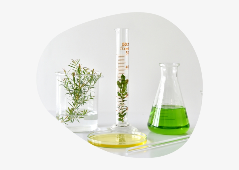 Sustainability In Cosmetics - Science, transparent png