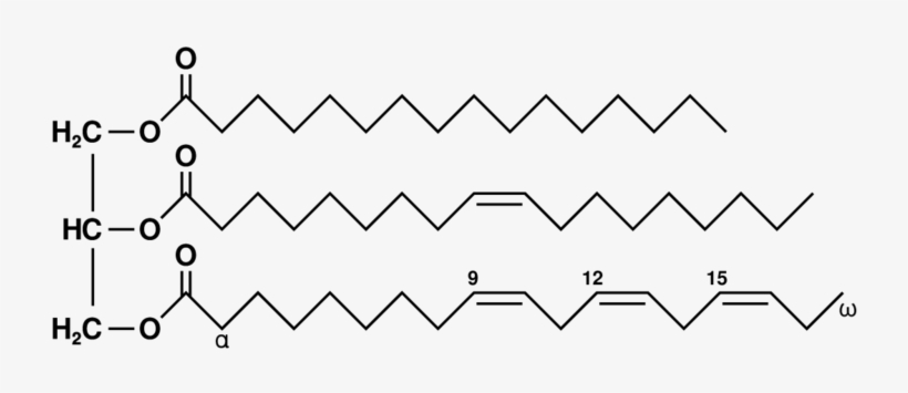 Triglyceride - Wikipedia - Triglycerides In Sunflower Oil, transparent png