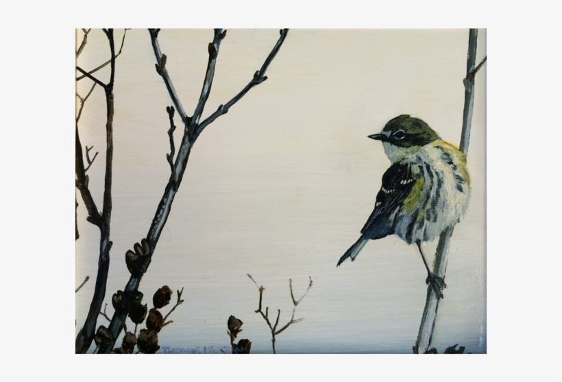"spring Migration" By Thomas Merriam Harvest Gold Gallery - Old World Flycatcher, transparent png