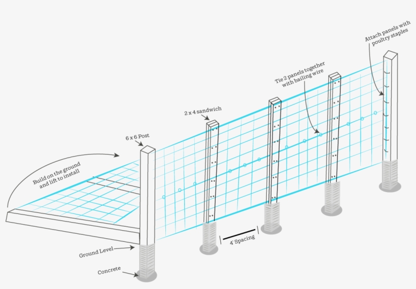 The Panels Are Typically Sold In 16-foot Lengths At - Cattle, transparent png
