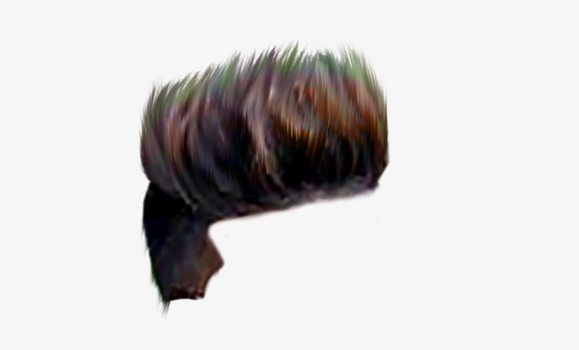 Ipl Fans Editing Cricket Photo Editing - Paragliding, transparent png