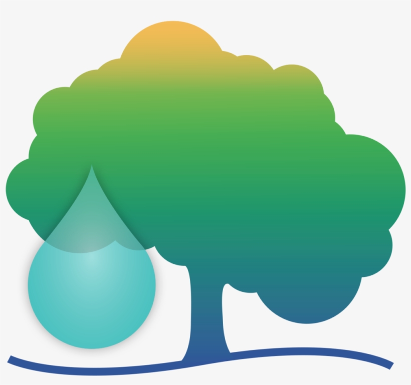 4 Tips To Save Water And Save Trees - Save Water Save Tree, transparent png