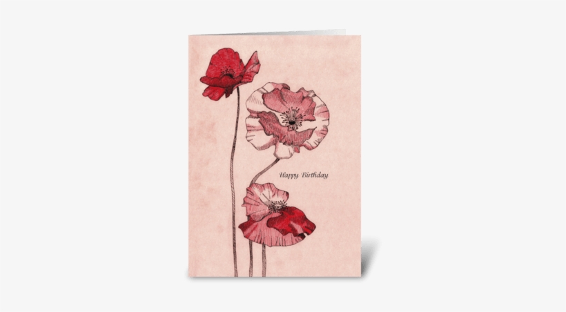 Birthday Drawing Poppy Flowers Greeting Card - Drawing, transparent png