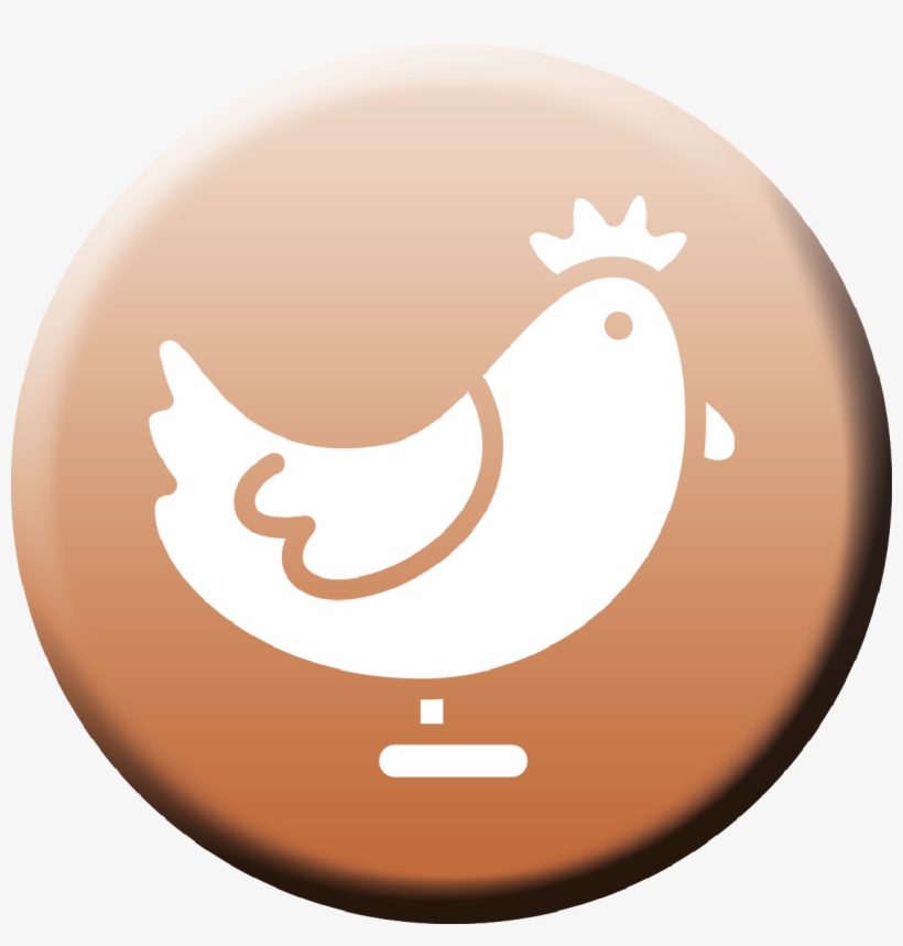 Poultry, transparent png