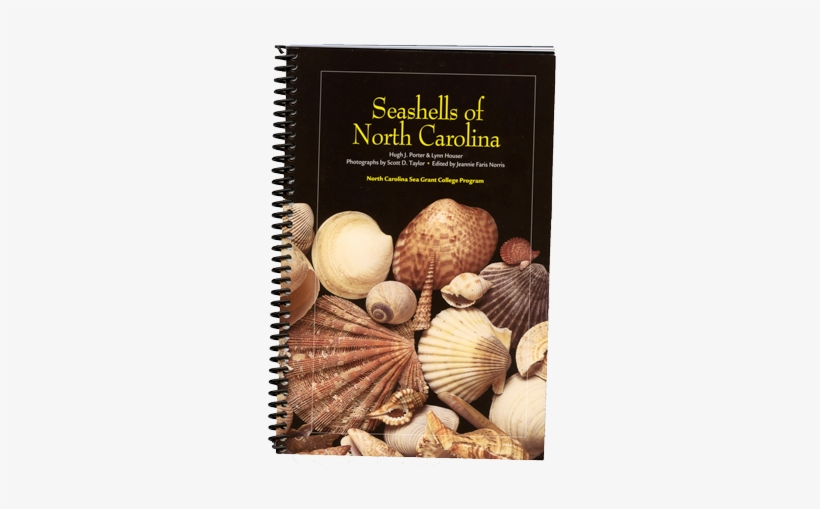 Seashells Book2 Beach Bound - Seashells Of North Carolina, transparent png