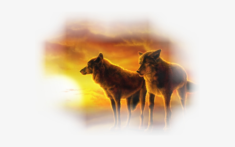 Wolves At Sunset - Wolf Pack Looking At The Sunset Tibet Silver Chain, transparent png