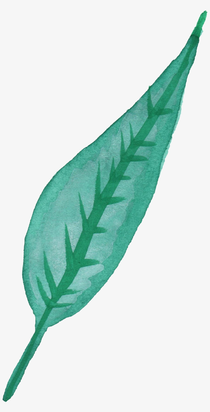 Free Download - Watercolor Of A Leaf Transparent, transparent png