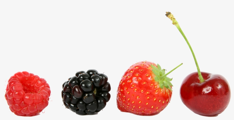 Free Png Food Fruits Png Images Transparent - Berries In A Line, transparent png