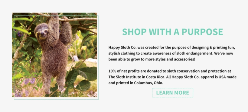 Shop Our Instagram - 18 Wall 12m 12x12 Sloths By Thomas Allen, transparent png