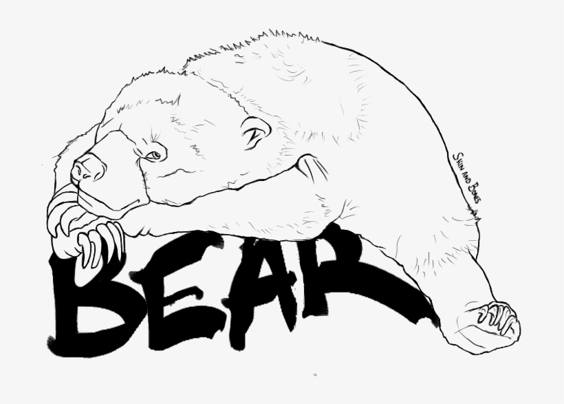 Bear, transparent png