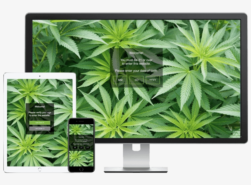 We Recommend Installing The 'basic' Free Version Of - Weed Plant, transparent png