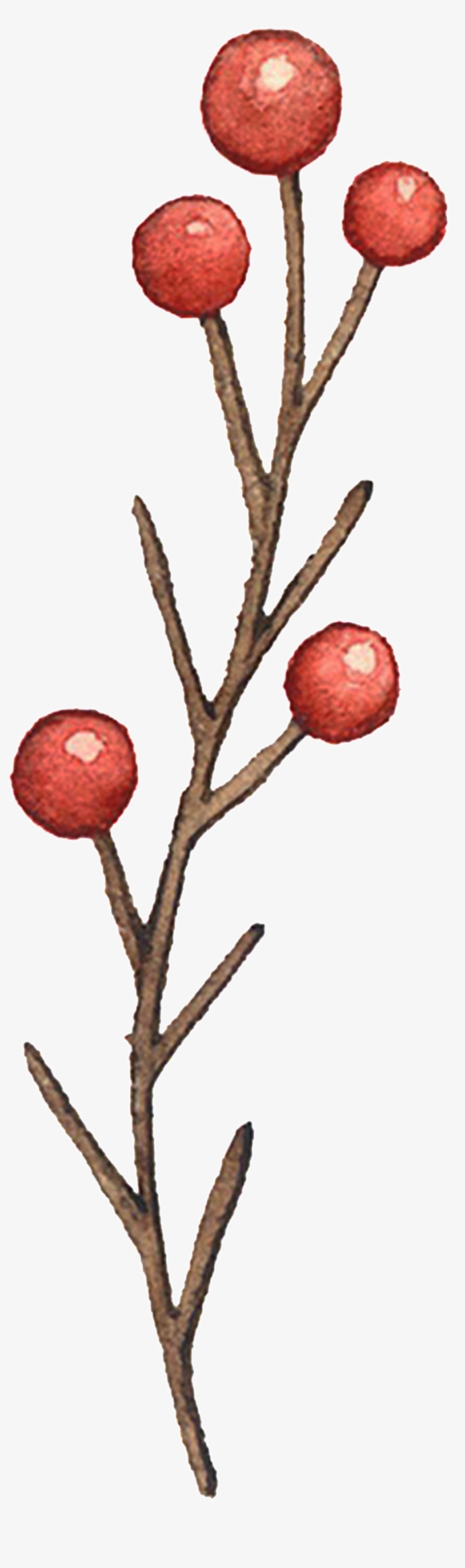 Fruit Watercolor Decoration Illustration - Watercolor Painting, transparent png