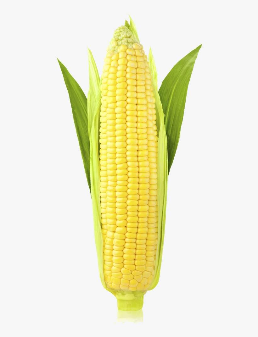 Corn Png Image - Stock Photography, transparent png