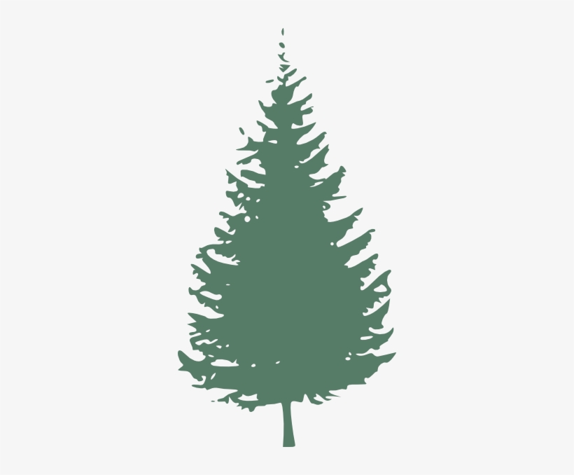 Pine Tree Silhouette, transparent png
