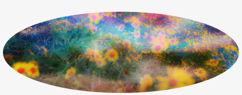 Hdl9 - - Trapper Keeper, transparent png