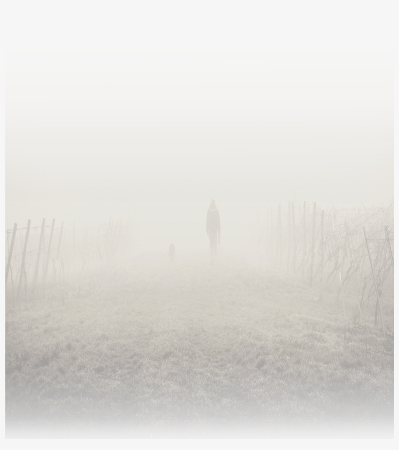 Visit My Other Website For More New Png - Mist, transparent png