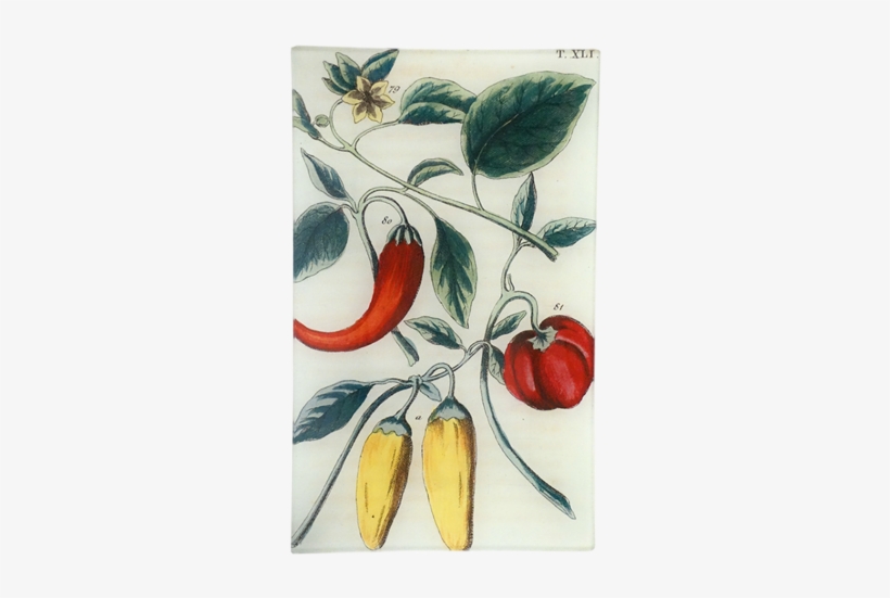 Peppers Xli Peppers Xli - Giclee Painting: Yellow And Red Bell Chili Peppers,, transparent png