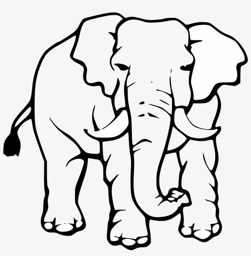 Colouring Elephant Asian Elephant Black And White 999x972 PNG