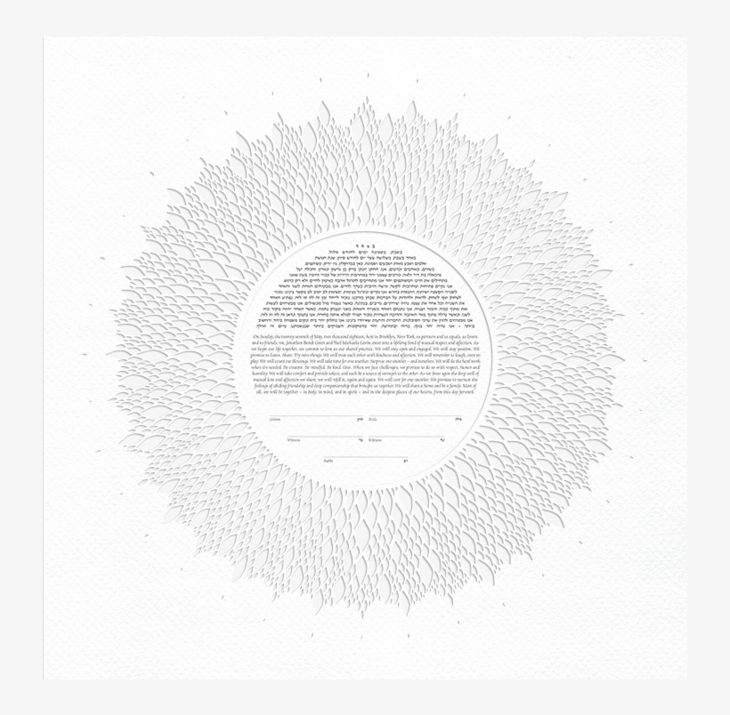 Seeds - Circle, transparent png