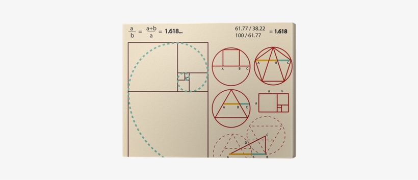 Golden Ratio, Golden Proportion Canvas Print • Pixers® - Golden Ratio, transparent png
