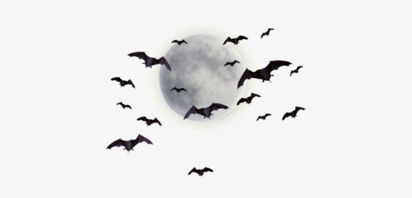 Graphics Moonpng - Moon And Bats Png, transparent png