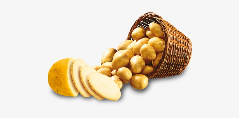 Sliced Potato Png Photo - Portable Network Graphics, transparent png