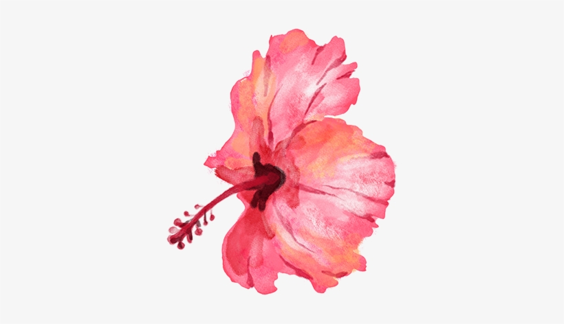 Flowersm - Portable Network Graphics, transparent png