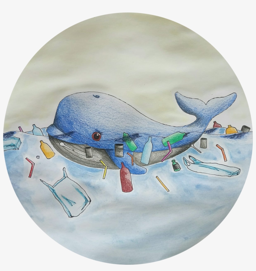 Emma Swimming In Plastic Trash - Beluga Whale, transparent png