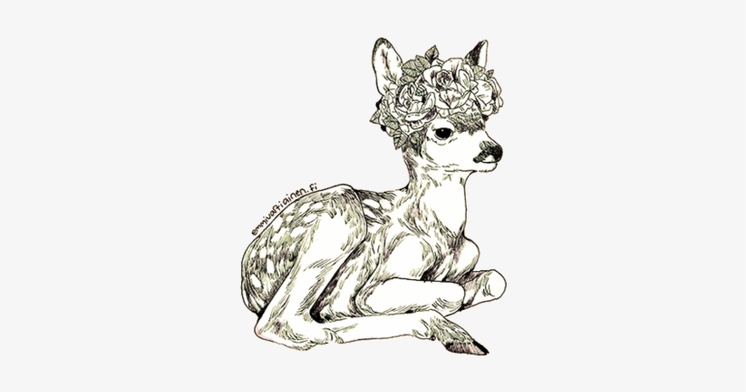 I Never Learn - Animals With Flower Crowns Drawing, transparent png