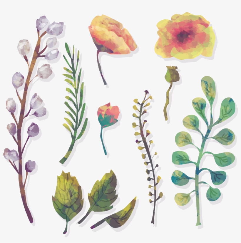 Watercolor Flowers Watercolour Painting Models Of Water - Watercolor Painting, transparent png
