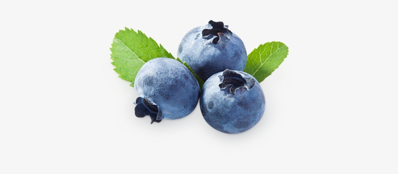 Blueberries Png - Bilberry Extract Powder 1 Lb, transparent png