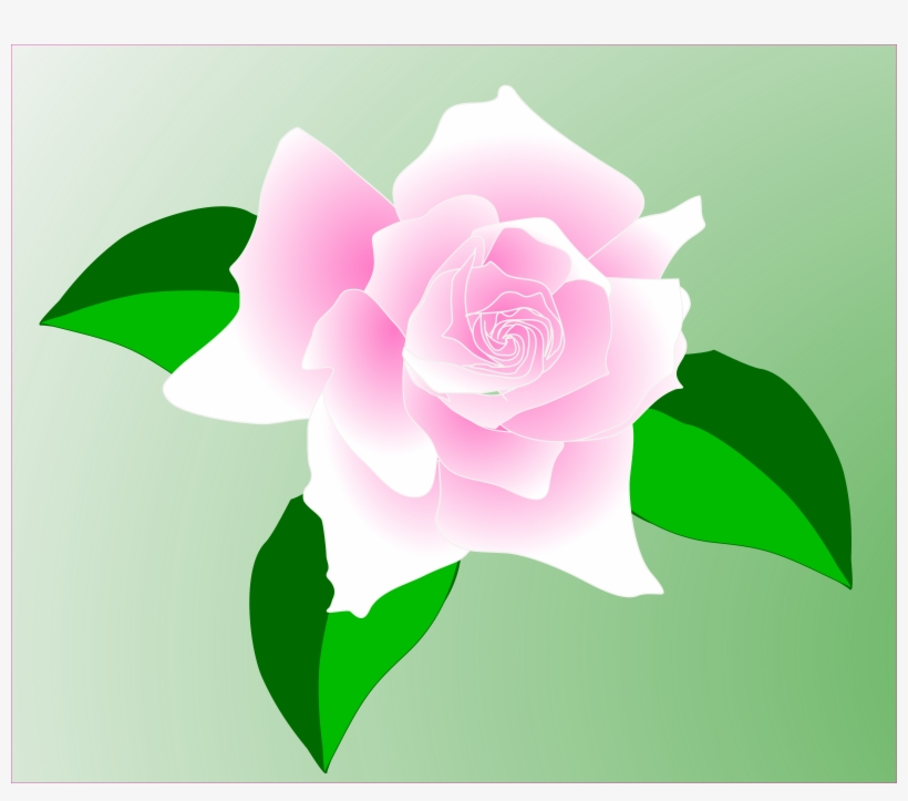 This Free Icons Png Design Of Pink Rose, transparent png