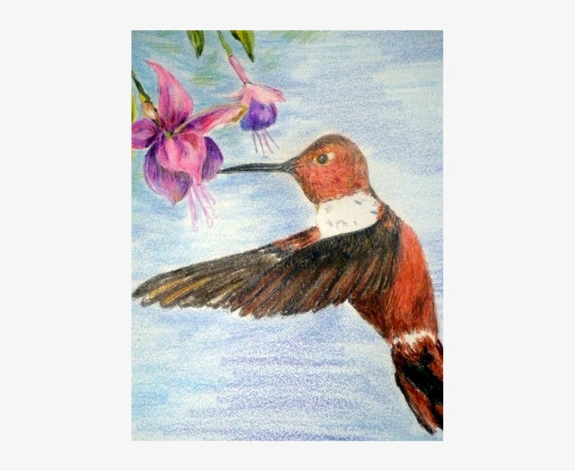 Picture - Pencil, transparent png