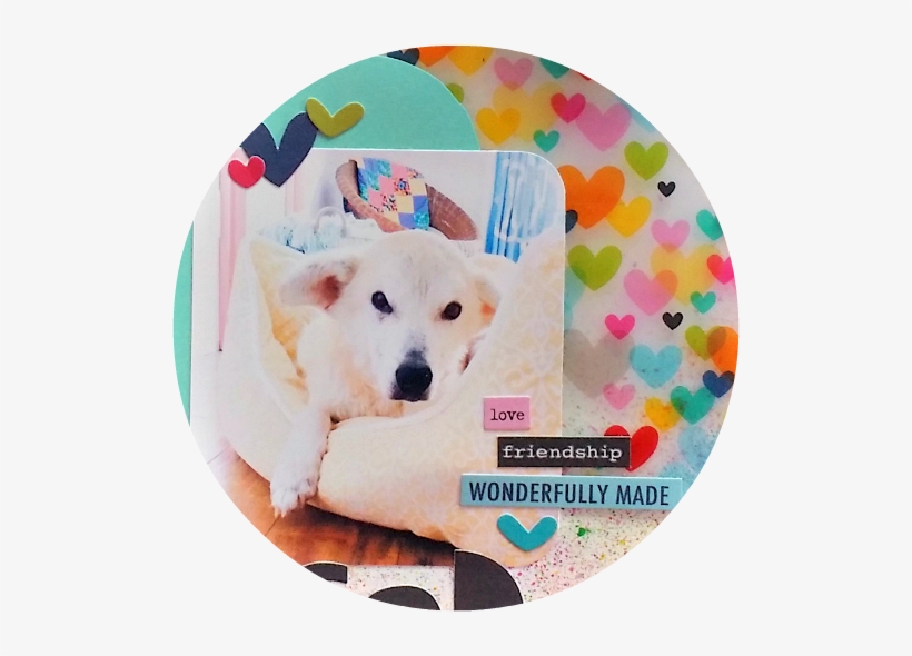 Tai Bender - Berger Blanc Suisse, transparent png