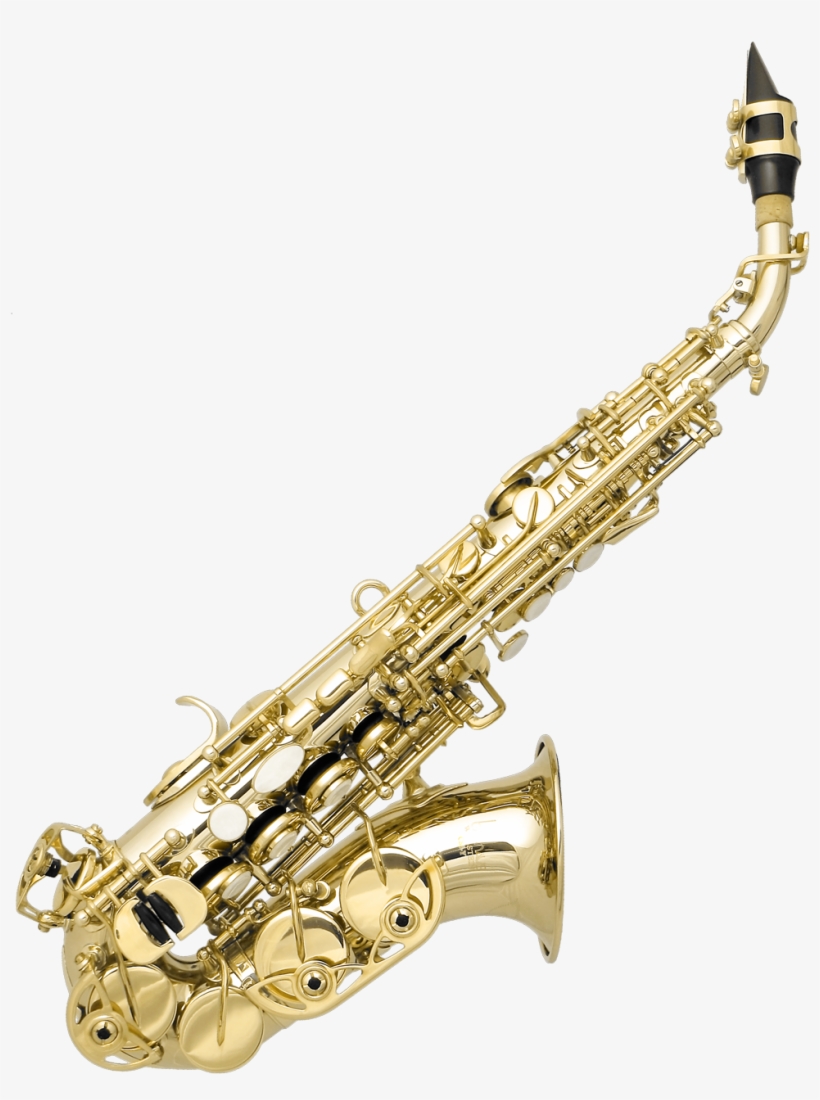 Alacran And Case, transparent png