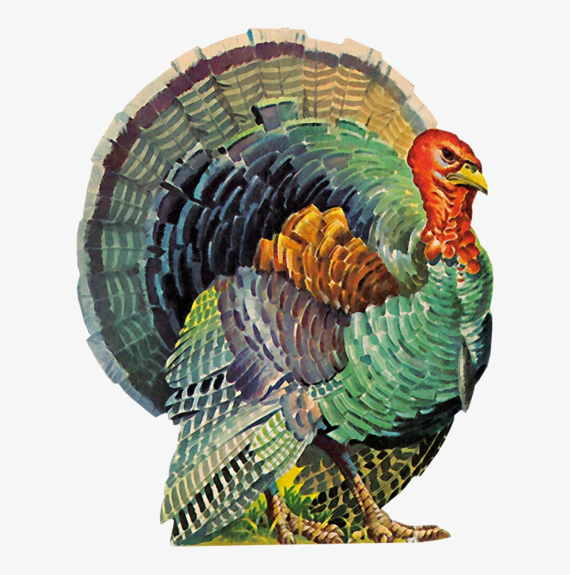 Images, Printables, & Digital Scrapbooking Buttons - Vintage Illustrations Of Turkeys, transparent png