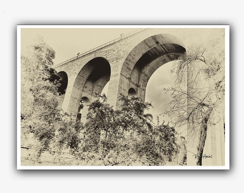 San Diego Photographer Sells Photo Of Cabrillo Bridge - San Diego, transparent png