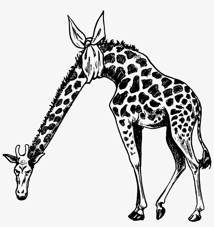 This Free Icons Png Design Of Hurt Neck Giraffe, transparent png