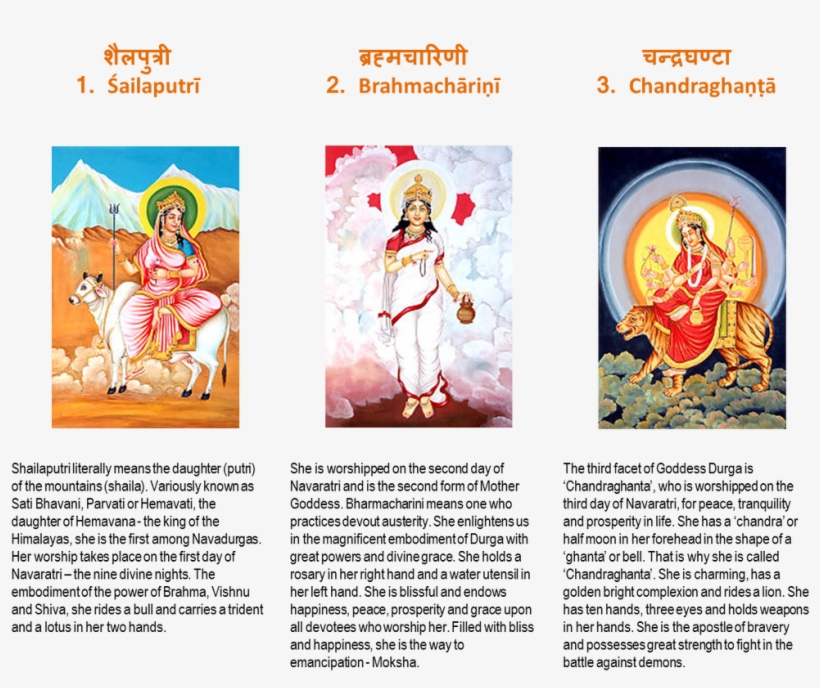 Picture - Navadurga - The Nine Forms Of Goddess Durga - Shailaputri, transparent png