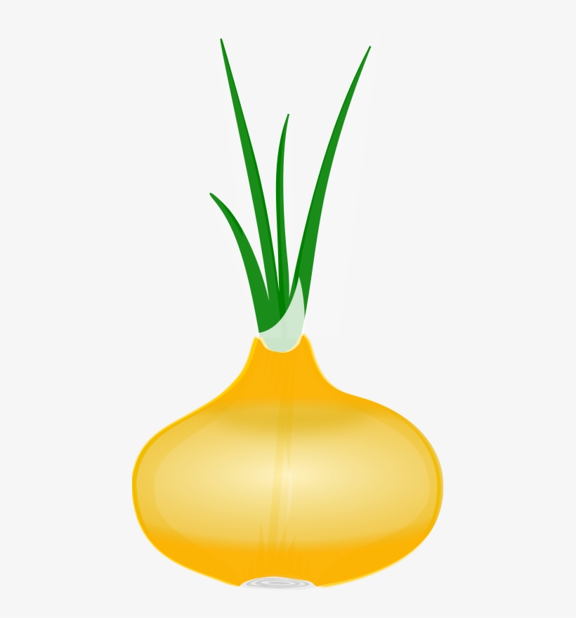 Fruits & Vegetables Clipart Onion - Onion Clip Art, transparent png