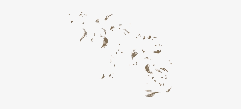 Flock, transparent png