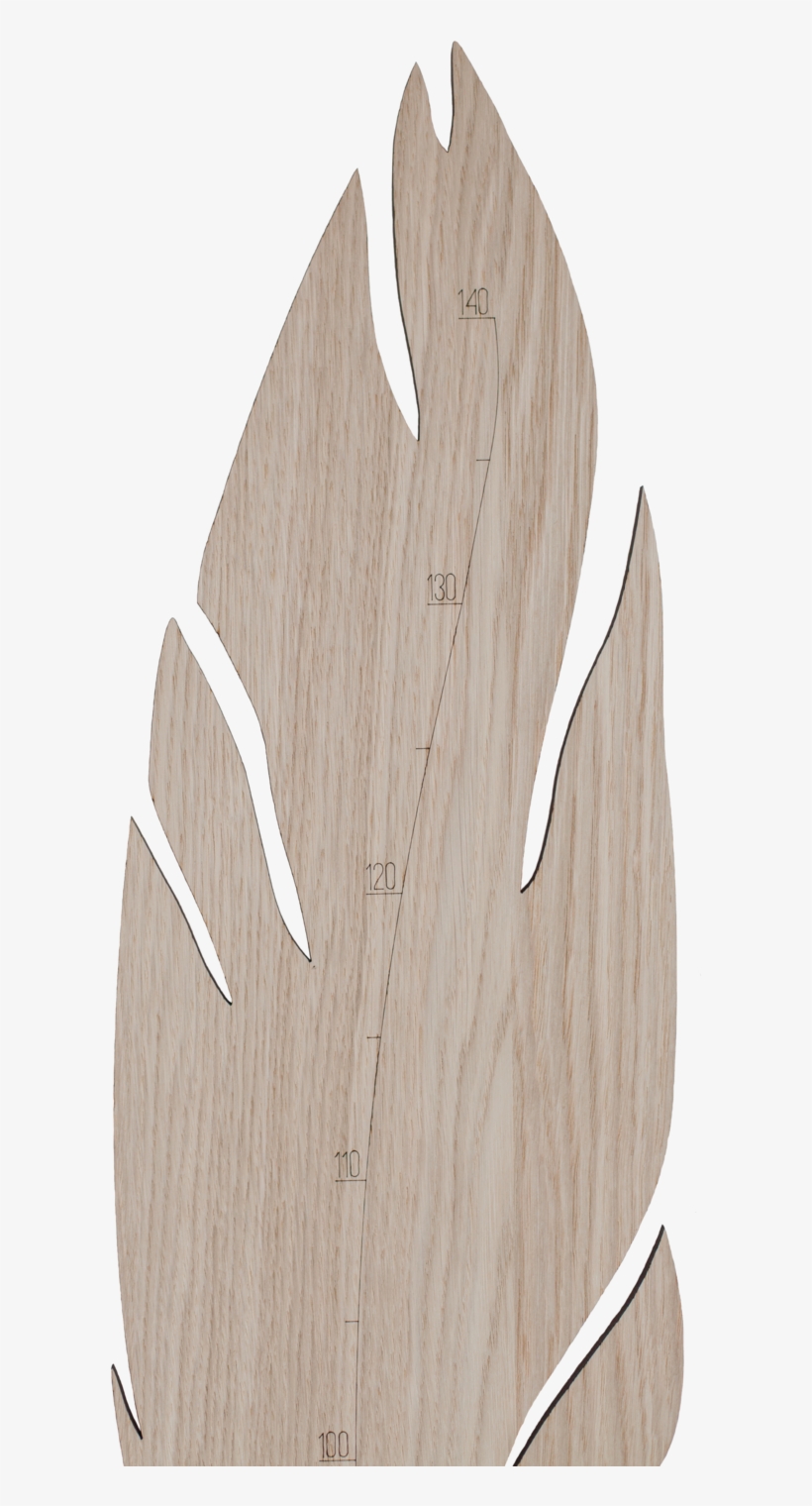 Hagelens Feather Growth Chart 2, transparent png